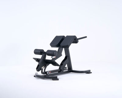 Back Extension Bench <br>バックエクステンションベンチ