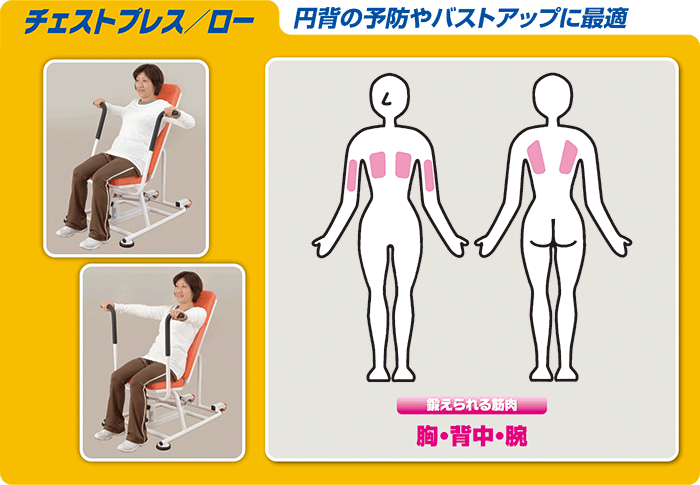 deaチェストプレス/ロー | トレーニングマシンブランドZAOBAオンライン deaチェストプレス/ロー | トレーニングマシンブランドZAOBAオンライン