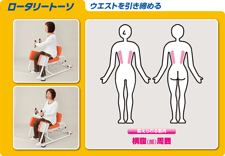 deaロータリートーソ | トレーニングマシンブランドZAOBAオンライン deaロータリートーソ | トレーニングマシンブランドZAOBAオンライン